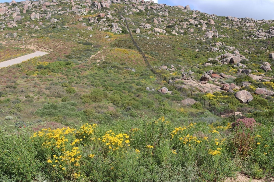 0 Bedroom Property for Sale in St Helena Views Western Cape